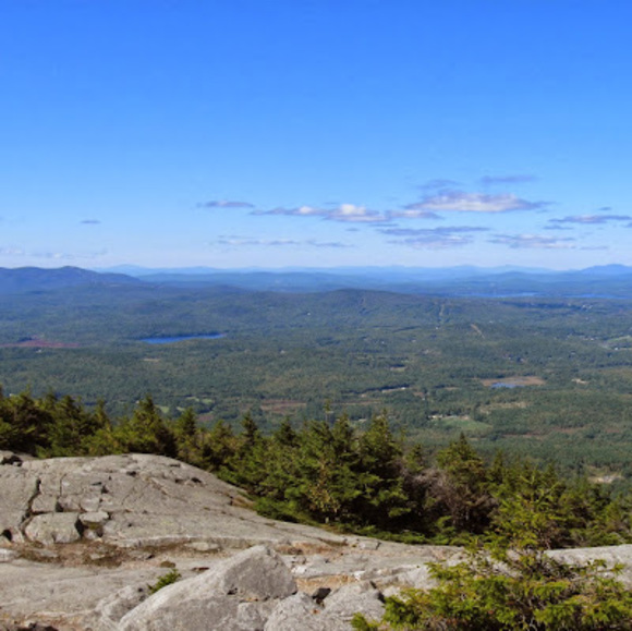 Meet your Posher, Joseph - Picture 1 of 1